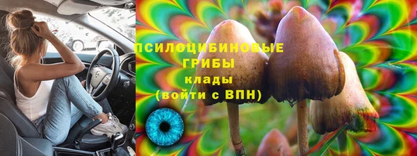 гидра Костерёво
