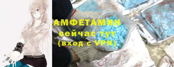 шишки Краснослободск