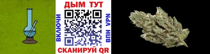 Купить  Елизово  Канабис VHQ 